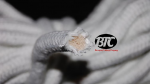 (image for) BTC Parlor Rope over 325 ft. (Extra White) (BTC2) - Trick
