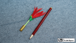 (image for) Pencil to Flower by Mr. Magic - Trick