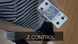 (image for) Z - Control by Ziv video DOWNLOAD
