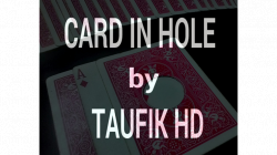 (image for) Card in Hole by Taufik HD video DOWNLOAD