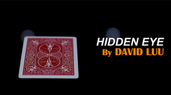 (image for) Hidden Eye by David Luu video DOWNLOAD