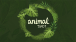 (image for) Animal Tarot (Gimmicks and Online Instructions) by The Other Brothers - Trick