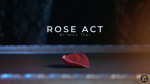 (image for) Visual Matrix AKA Rose Act Elegant Gold (Gimmick and Online Instructions) by Will Tsai and SansMinds - Trick