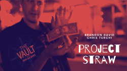 (image for) The Vault - Project Straw by Brandon David & Chris Turchi video DOWNLOAD