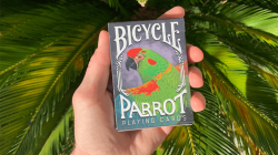 (image for) Bicycle Parrot Playing Cards