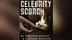 (image for) Celebrity Scorch (Downey Jr & Beckham) by Mathew Knight and Stephen Macrow