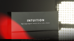 (image for) Intuition by Mozique, Alakazam Magic and Joo Miranda Magic (Gimmicks and Online Instructions) - Trick