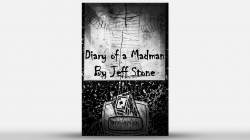 (image for) Diary of a Madman by Jeff Stone - Book