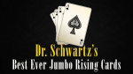 (image for) BEST EVER JUMBO RISING CARDS by Martin Schwartz - Trick