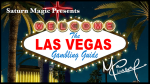 (image for) Las Vegas Gambling Guide by Matthew Pomeroy - Book