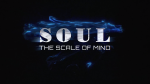 (image for) SOUL (Gimmicks and Online Instructions) by Wenzi - Trick