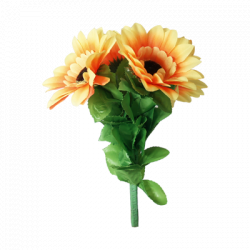 (image for) Amazing Split Sunflower by Premium Magic - Trick