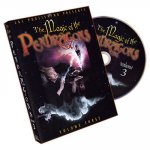 (image for) Magic of the Pendragons #3 by Charlotte and Jonathan Pendragon and L&L Publishing - DVD