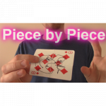 (image for) Piece by Piece by Aaron Plener - Video DOWNLOAD