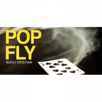 (image for) Pop Fly by Bizau Cristian video DOWNLOAD