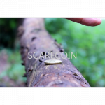 (image for) Scare Coin by Arnel Renegado - Video DOWNLOAD