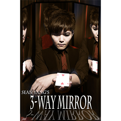 (image for) 3-Way Mirror by Sean Yang and Magic Soul - Trick - Click Image to Close