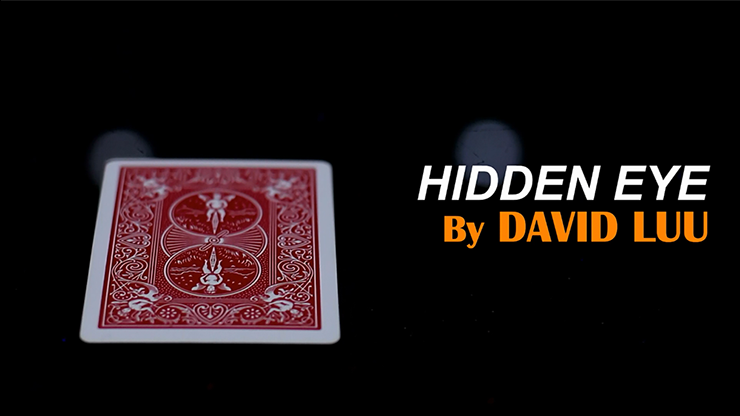 (image for) Hidden Eye by David Luu video DOWNLOAD - Click Image to Close