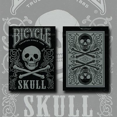 (image for) Bicycle Skull Metallic (Silver) USPCC by Gambler's Warehouse - Click Image to Close