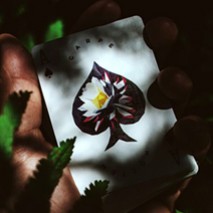 (image for) Carpe Noctem Playing Cards by Chris Ramsay