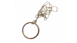 (image for) Chained Ickle Pickle