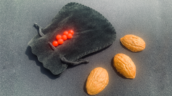 (image for) Street Shells by Whit Haydn and Chef Anton - Trick