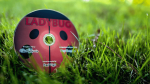 (image for) Paul Harris Presents Lady Bug by Paul Vigil, Paul Harris and Roy Kueppers - Trick