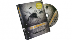 (image for) The Bumblebees (DVD and Cards) by Woody Aragon