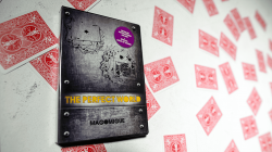 (image for) The Perfect World (DVD and Deck) Mago Migue and Luis De Matos