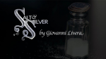 (image for) Salt & Silver by Giovanni Livera - DVD