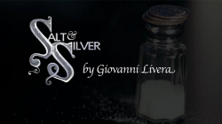 (image for) Salt & Silver by Giovanni Livera - DVD