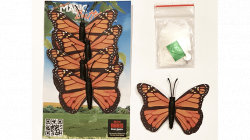(image for) Magic Spider Butterfly Pack by Ian Pidgeon- Trick