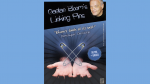 Gaetan Bloom's Linking Pins (with Online Instructions) by Mayette Magie Moderne (image for) Gaetan Bloom's Linking Pins (with Online Instructions) by Mayette Magie Moderne