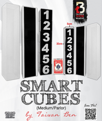 (image for) Smart Cubes (Medium / Parlor) by Taiwan Ben - Trick