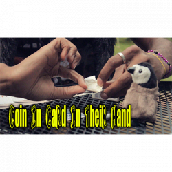 (image for) Coin In card by Jibrizy - Video DOWNLOAD
