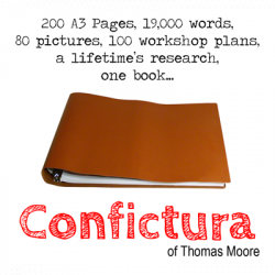 (image for) Confictura by Thomas Moore - Book