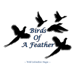 (image for) Birds Of A Feather by Wild-Colombini - Trick
