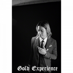 (image for) GOLD Experience by Rockstar Alex - Video DOWNLOAD