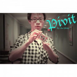 (image for) Pivit by Hui Zheng Video DOWNLOAD