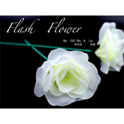 (image for) White Flash Flower (2pk.) - by GD Wu & GT magicstore - Trick