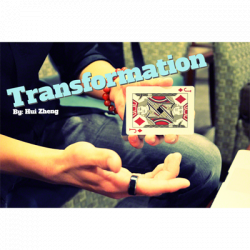 (image for) Transformation by Hui Zheng - Video DOWNLOAD