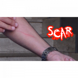 (image for) SCAR by Dan Alex - Video DOWNLOAD