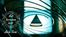(image for) Dream Act by Shin Lim - Trick