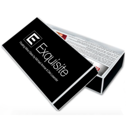 (image for) Exquisite by Michael Ammar and Losander