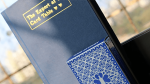 (image for) Expert At The Card Table Journal (Blue) by Magic Encarta - Book