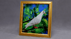 (image for) Dove Frame (Photo) by Mr. Magic - Trick