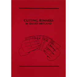 (image for) Cutting Remarks by David Britland - Book