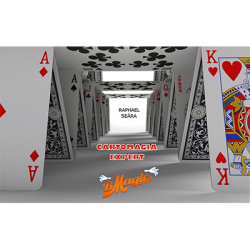(image for) Cartomagia Expert by Raphael Se??ra (Portuguese Language) - Video DOWNLOAD