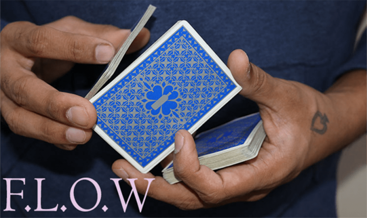 (image for) Magic Encarta Presents F.L.O.W by Vivek Singhi - Video DOWNLOAD - Click Image to Close