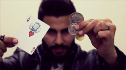 (image for) Fusion by Zolo video DOWNLOAD